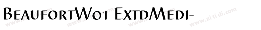 BeaufortW01 ExtdMedi字体转换